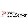 Python Icon